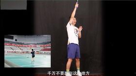 杨晨大神爆料视频大全,揭秘娱乐圈幕后真相